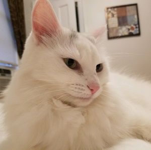 Meet your Posher, Erika